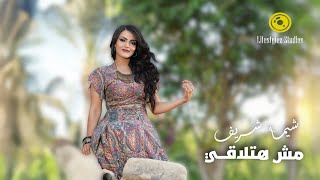كلمات اغنية مش هتلاقي شيماء شريف