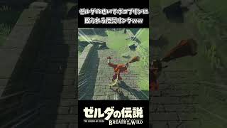 ゼルダのせいでボコブリンに殴られる厄災リンクｗｗ【ゼルダの伝説 ブレス オブ ザ ワイルド】