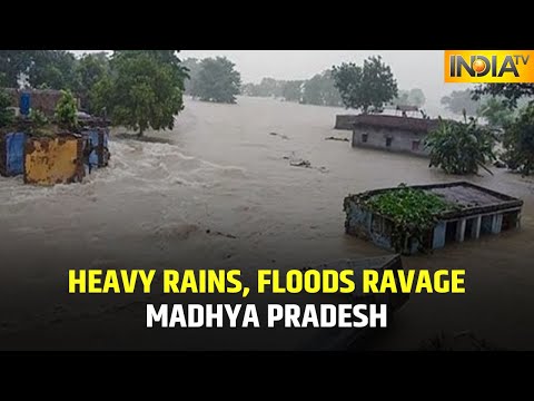 Deluge Batters Madhya Pradesh, 1,171 Villages Ravaged By Floods; Army, NDRF Engage In Rescue Ops