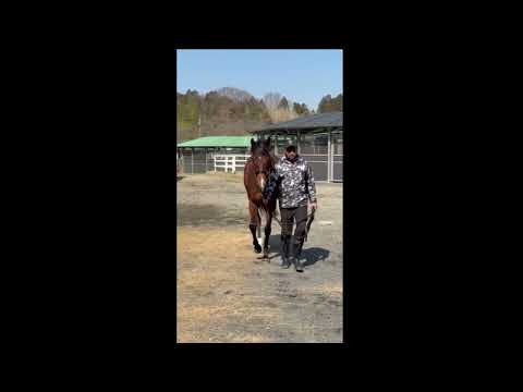 {{itemName}}_video_thumbnail