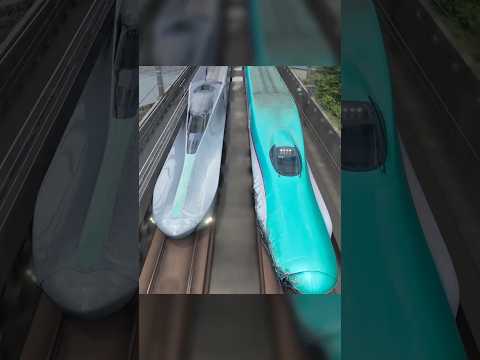 How a Bird Fixed Bullet Train?