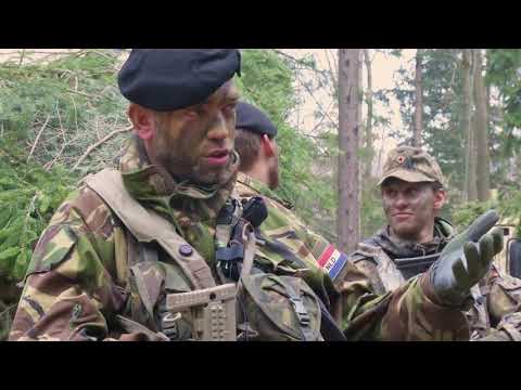 Allied Spirit X B-Roll Package (2019) 🇺🇸