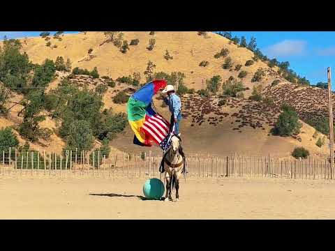 youtube preview