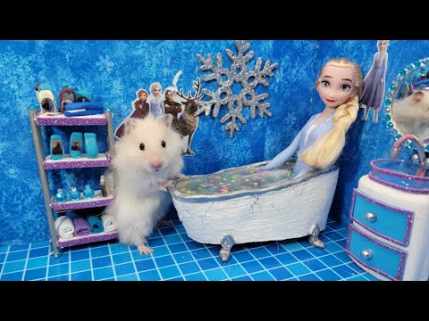 🐹 Hamster Escapes the Creative Maze for Pets in real life 🐹 in Hamster Stories|Elsa & Anna