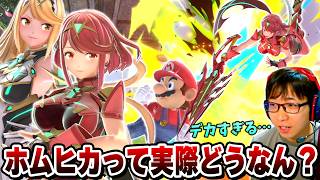 最強の剣士ファイターと噂のホムヒカ。そのキャラパワーを実際に確めて自認Sparg0を目指すまさし【スマブラSP】