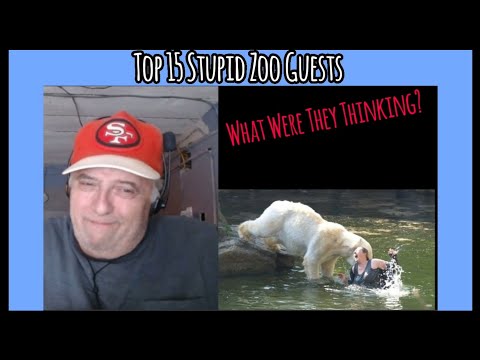 WHAT WERE THEY THINKING?Top 15 Stupid Zoo Guests.