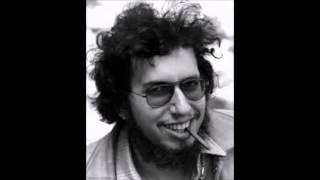 David Bromberg    Nashville Again