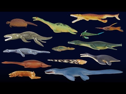 Prehistoric Sea Life 2 - Mosasaurus, Frilled Shark & More - The Kids' Picture Show