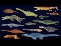 Prehistoric Sea Life 2 Mosasaurus Frilled Shark More The Kids Picture Show