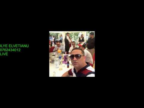 ILYE ELVETIANU - A CAZUT DIN CER O STEA LIVE