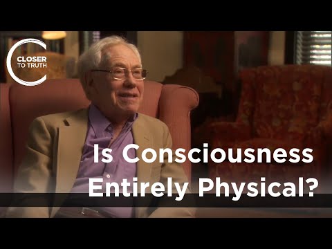 Hubert L. Dreyfus – Ist Bewusstsein ausschließlich physisch?