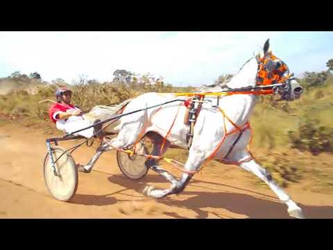 1. Mística. 1.59.22.  2. Latino. 1.59.88.  3. Luziana.  4. Impossível.