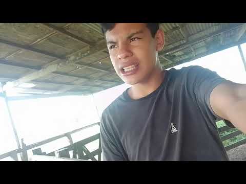 Mostrando como é de dia aqui na Fazenda hein Santa Isabel do Pará