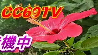 シシクラ～天空クラフト～#2286
