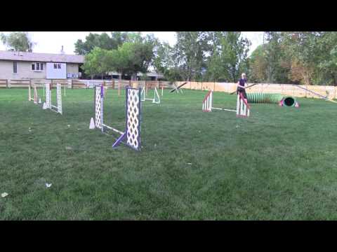 Agility Practice 081315