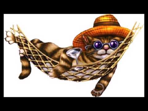 Den Svenska Sommaren