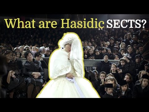 Hasidic Jews and sects explained in 12 mins!