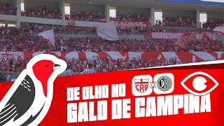 DE OLHO NO GALO DE CAMPINA - CRB X ASA