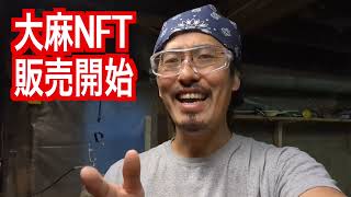 【大麻NFT販売開始】村上隆の元秘書が株式会社ワンインチの柴田耕佑さんの肖像画を描きました！