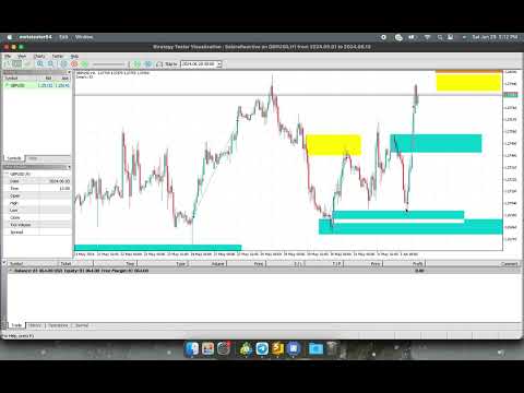 Video Sabira Reactive