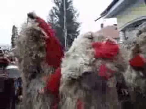 Ursii de la Maranesti, Costisa 2013-2014 1/2