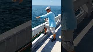 How To Catch Spanish Mackerel in 20 Second