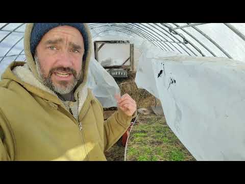 Edible Acres: Compost Heat Test in a Cold Snap
