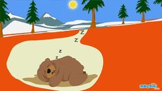 What is Hibernation in Animals? Facts | Mocomi Kids