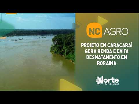 Projeto em Caracaraí gera renda e evita desmatamento em Roraima