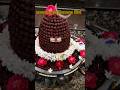 लिंगाष्टकम् Lingashtakam Brahma Surachit Lingam