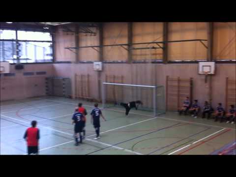 SPARDA HALLEN CUP - SCHÖNSTES TOR DES TURNIERS - TRAUMTOR!