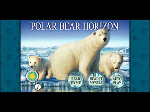 Polar Bear Horizon video
