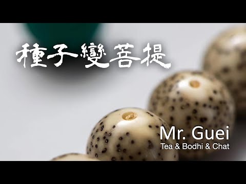 菩提珠功效