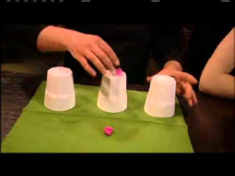 Spellz   Season One   Volume One Featuring Jay Sankey by GAPC Entertainment   DVD   www octomagic com