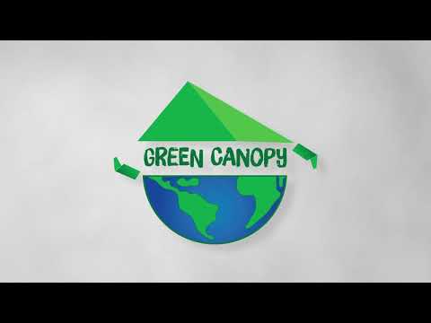 Logo animation video 1 preview