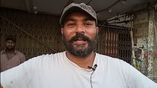 Olx Karachi Kabootar