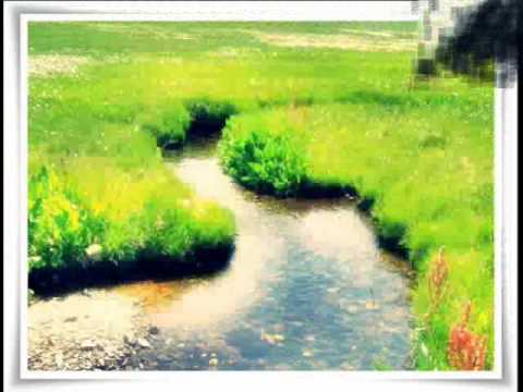 Aljko Suplja - Me mamila dejka jena