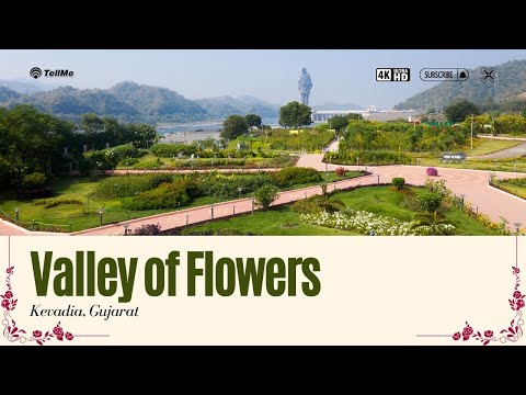 Explore the Stunning Valley of Flowers I Kevadia I Gujarat