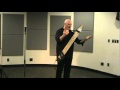 Steve Adelson Concert On The Chapman Stick 04