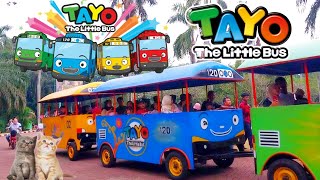 Download lagu HAY TAYO HAY TAYO | Lagu Hay Tayo dj remix | TAYO THE LITTLE BUS #laguanak #haytayo mp3 Download lagu HAY TAYO HAY TAYO | Lagu Hay Tayo dj remix | TAYO THE LITTLE BUS #laguanak #haytayo mp3