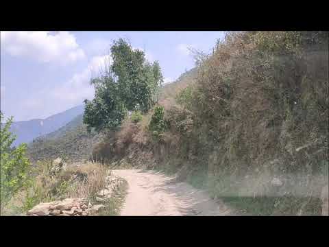 Orchid hunting in Bhutan