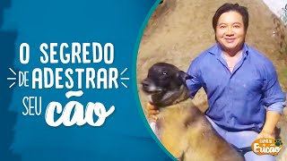 O SEGREDO PARA ADESTRAR UM CACHORRO   FAMILIA ERICAO