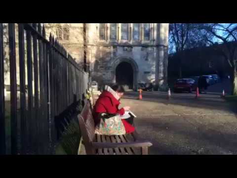 England - York - Cathedral Green - 05012015