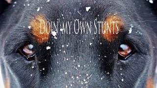 Breathe Owl Breathe - Own Stunts Lyric Video