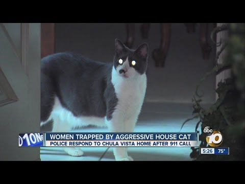 Mother, daughter trapped by aggressive house cat