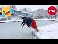 Try Not To Laugh 🤣 Top 100 Funniest Videos Ever 😂 | Funny Videos Compilation 2026 #61
