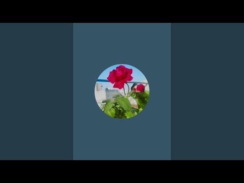 Sivagami Gardening and kitchen.  is live