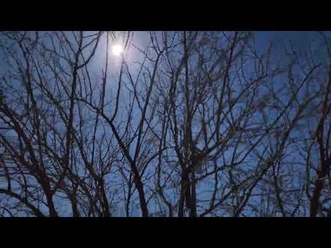 User submitted video