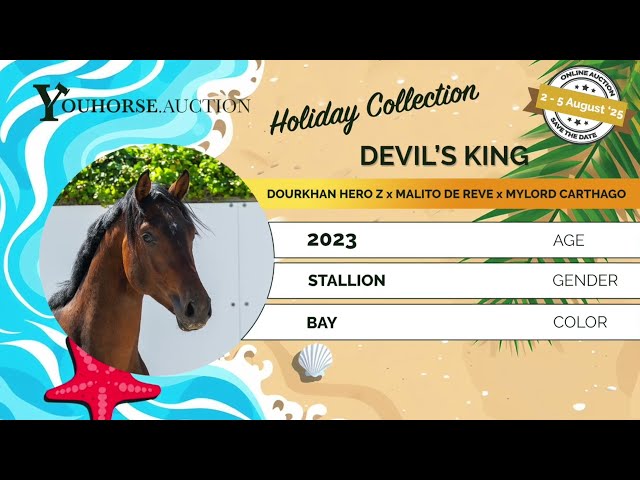 Devil's King loose jumping today August 6