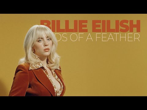 Billie Eilish - Birds of a Feather (but it's Disco Funk Version)